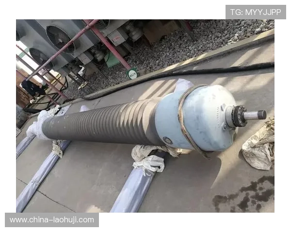c7pg电子下载遇到问题怎么办？常见故障排查与安全保障措施详解