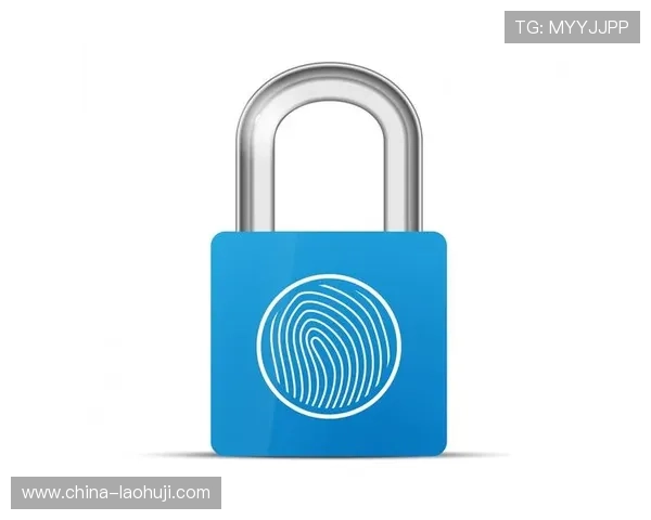 澳门金砂游戏app安全性分析，保障玩家资金与个人信息安全的实用技巧